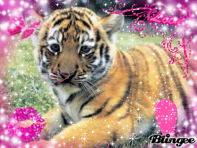 mignon bébé tigre du Bengale