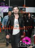 Tomo milicevic