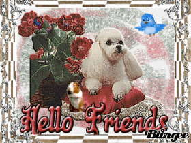 Hello my friends!!!!!
