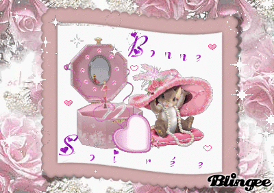 BONNE SOIREE BONNE SOIREE