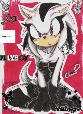 Shade the hedgehog Remake Picture #96949454 | Blingee.com
