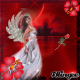 angel angel