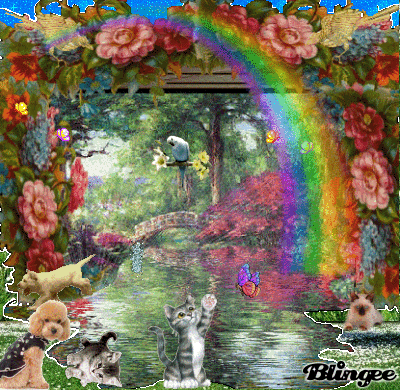 Immagine Il Ponte Dell Arcobaleno 97140684 Blingee Com