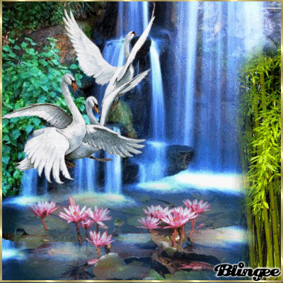 Codigos Y Descargas De Fotos Animadas Paisaje 97425085 502112175 Blingee Com Sos el amor de mi vida. blingee com