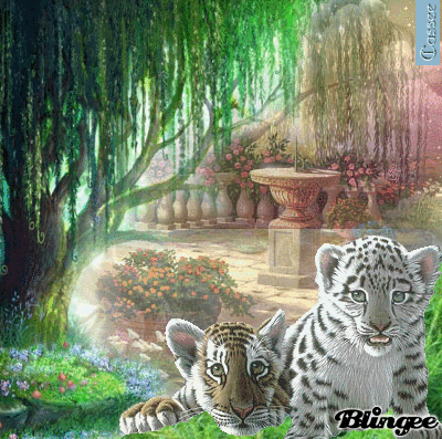 Image result for tiger and a willow tree
