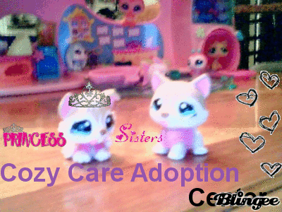 lps cozy care adoption center