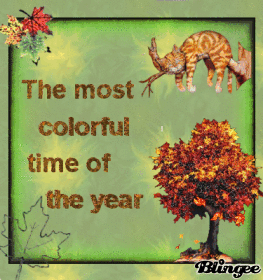 The most colorful time of the year.. Autumn 