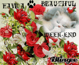BON WWEK-END A TOUS MES AMIS