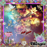 Oiseaux...Pour un Heureux Anniversaire de Mariage