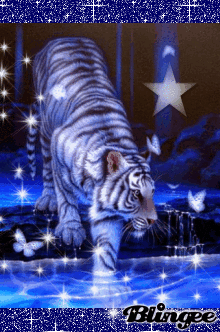 magical tiger