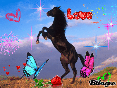 IMAGES TABLEAU CHEVAL CABRE, Galerie Creation 