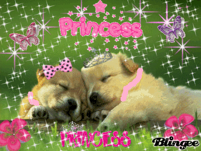 princess dogs