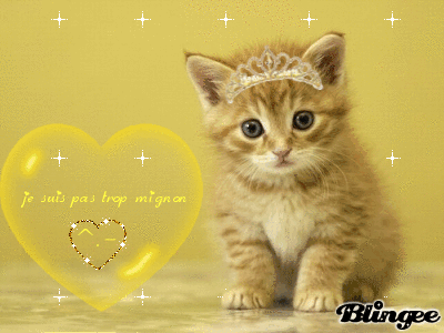 Afficher l'image d'origine