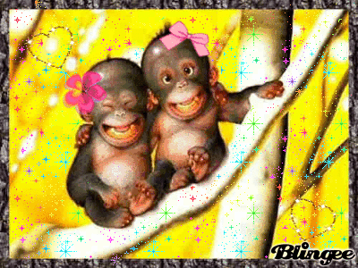 external image 495514194_419664.gif