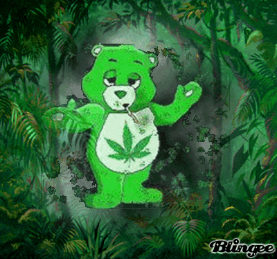 weed carebear picture 98850276 blingee com weed carebear picture 98850276 blingee com