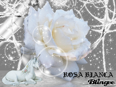 Risultati immagini per rosa bianca glitter