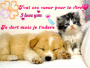 Je dort mais je t'adore