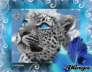 Snow Leopard Animated Picture Codes and Downloads #99381188,499827638