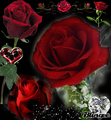 Fotos Animadas Rosas Rojas Para Compartir 99555746 | fotos animadas rosas rojas para compartir 99555746 Fotos Animadas Rosas Rojas Para Compartir 99555746 | fotos animadas rosas rojas para compartir 99555746