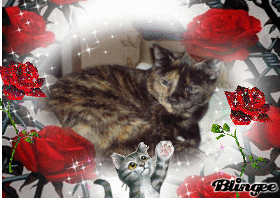 Buffy