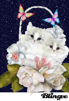 GIF: гифки