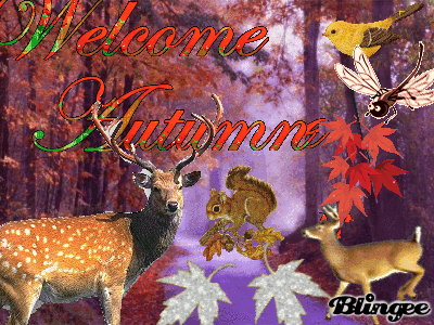 Bentornato Autunno Immagini Animate Da Condividere 100096664 Blingee Com
