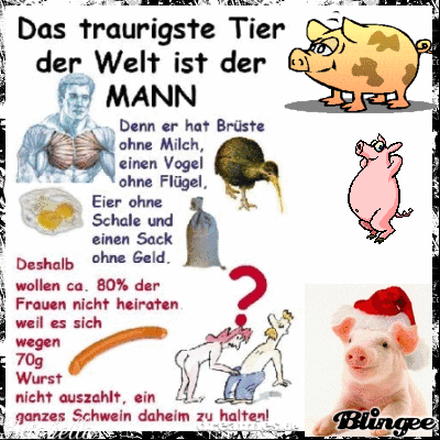 Er sucht sie zum heiraten schweiz