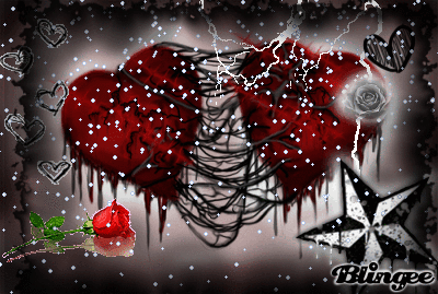 Https Encrypted Tbn0 Gstatic Com Images Q Tbn 3aand9gcqjddozy9rgb9vt1wtq66lyhja5k D72enfsw Usqp Cau