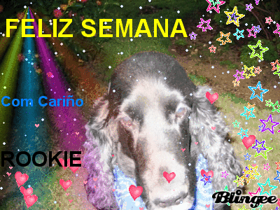 FELIZ SEMANA 2 FELIZ SEMANA 2