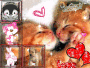 I ♥Animals :)