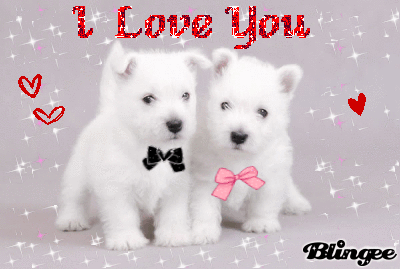 Cagnolini Innamorati Picture 100580305 Blingee Com