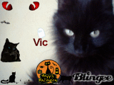 Vic