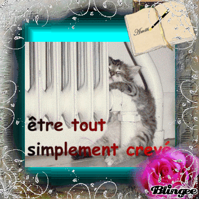 que veu dire amitier que veu dire amitier