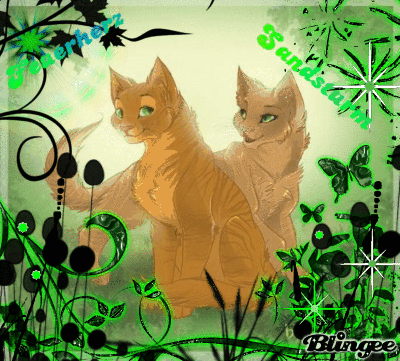 Warrior Cats Feuerstern Pictures P 3 Of 250 Blingee Com