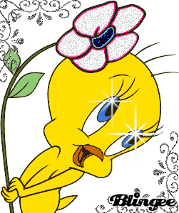 Immagine titti 100815921