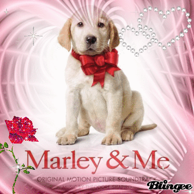 Marley & Me