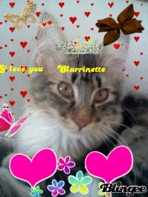 Ma chatte! Ma chatte!
