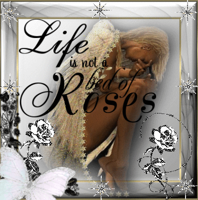 Essay on life is not a bed of roses