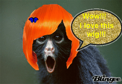 Monkey with a wig on clearance