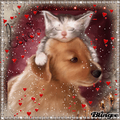 Chat gratuit sans cb