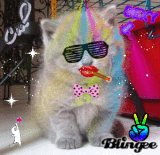 chat des annees 70