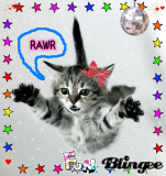 Rawr Kitty