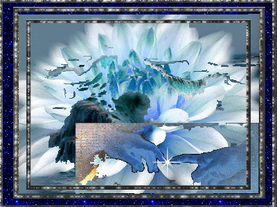 maoslotus maoslotus