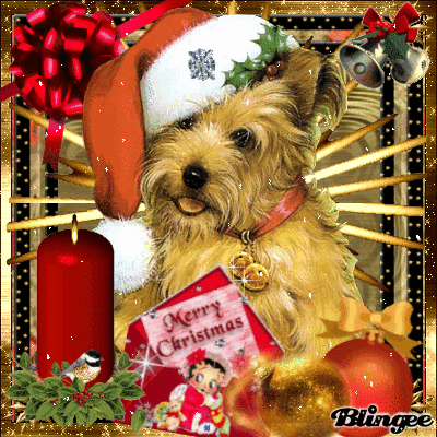 christmas - dog Animated Picture Codes and Downloads #102070206