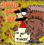 FUNNY TURKEY Graphic #3569827 | Blingee.com