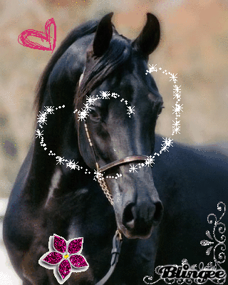 My first Love My first Love