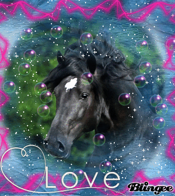 love horses love horses