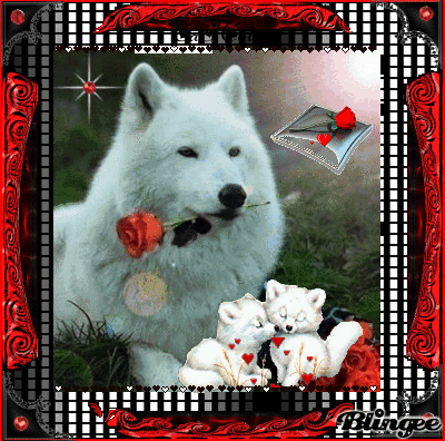 gif mignon de canard