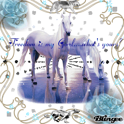 My goal-freedom-SHOUT! My goal-freedom-SHOUT!