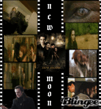 new moon